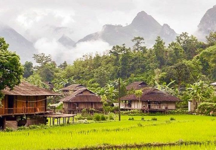 Du Gia Panorama (or similar)