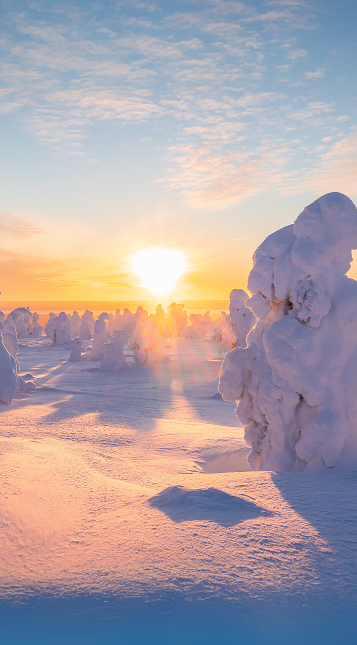 Farewell Sauna, Final Snow