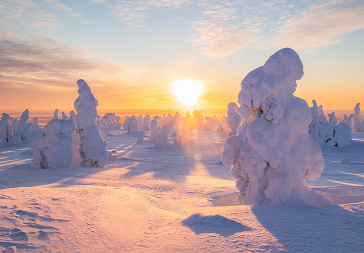 Riisitunturi Snow Cathedral