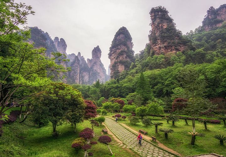 Zhangjiajie Forest Park Full-Day Tour