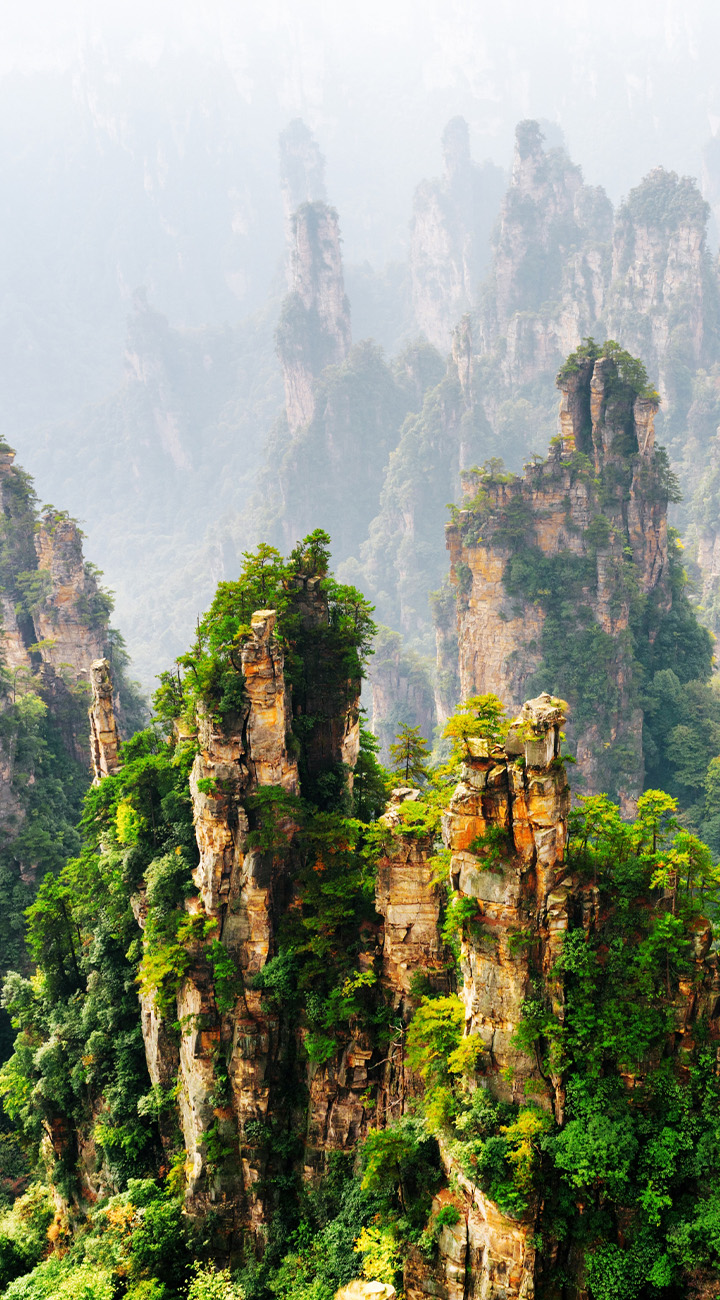 Peaks & Pillars of Zhangjiajie