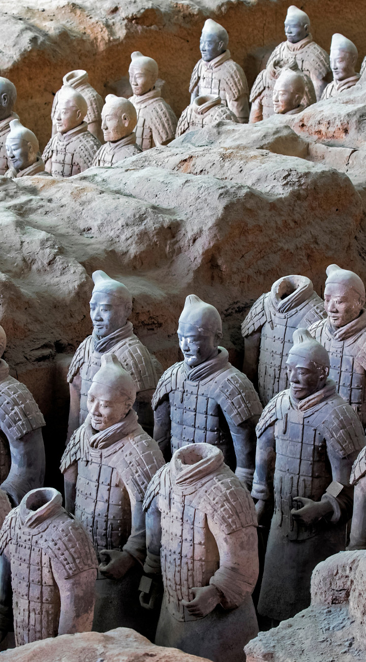 Warriors & Dynasty Nights