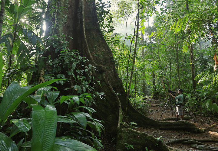Manuel Antonio Park Visit