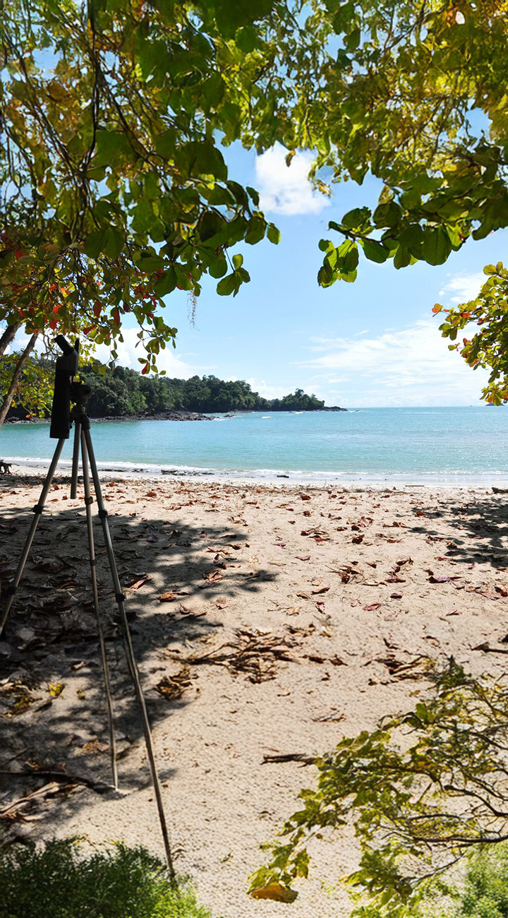 Ocean Calls – Caño Island Snorkel