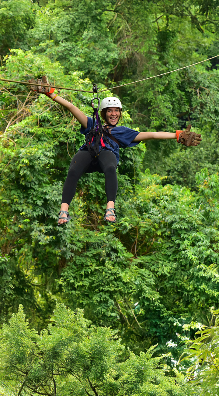 Choose Your Own Arenal