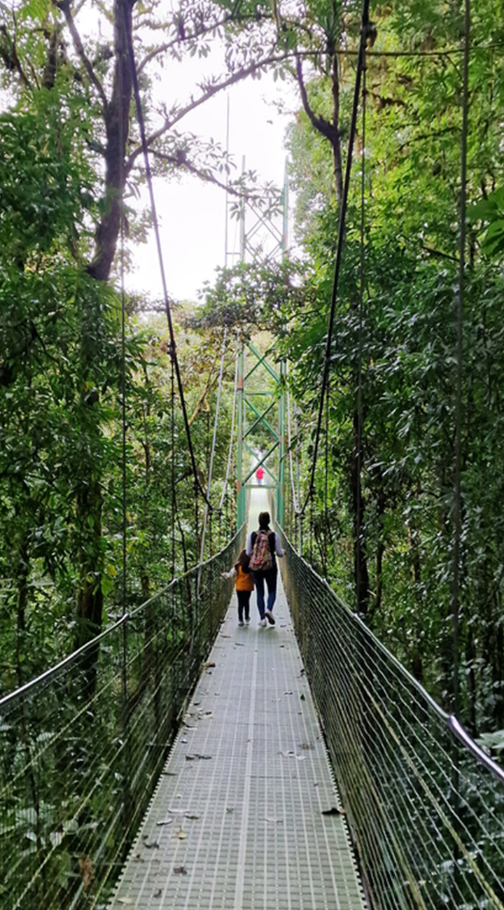 Monteverde, Your Way