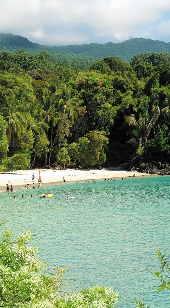 Down to the Pacific – Hello, Manuel Antonio