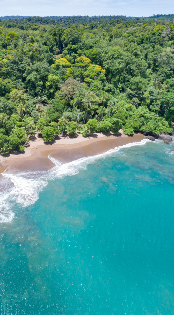 Deep Jungle – Corcovado National Park