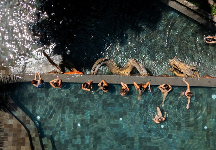 Jungle Club Day Pass + Cocktail