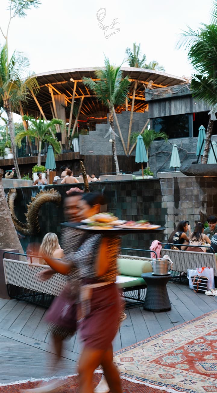 The Jungle Club Escape