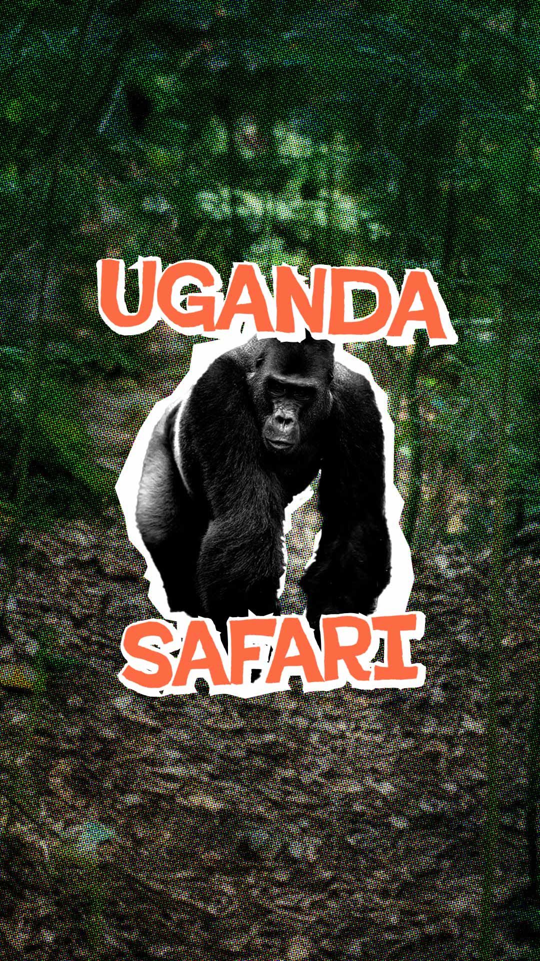 Uganda Adventure: In the land of Silverbacks & Sunsets