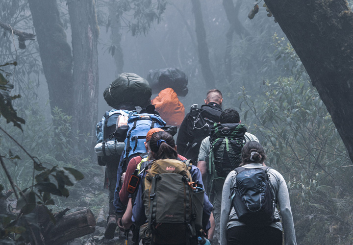Rainforest Trek to Machame Camp