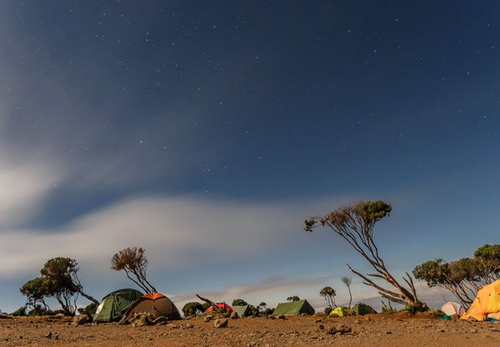 Hike to Shira Camp – High Moorland Magic