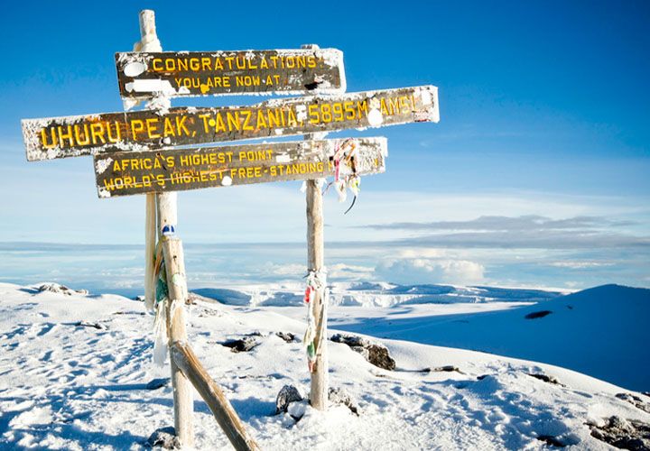 Summit Uhuru Peak – 5,895m