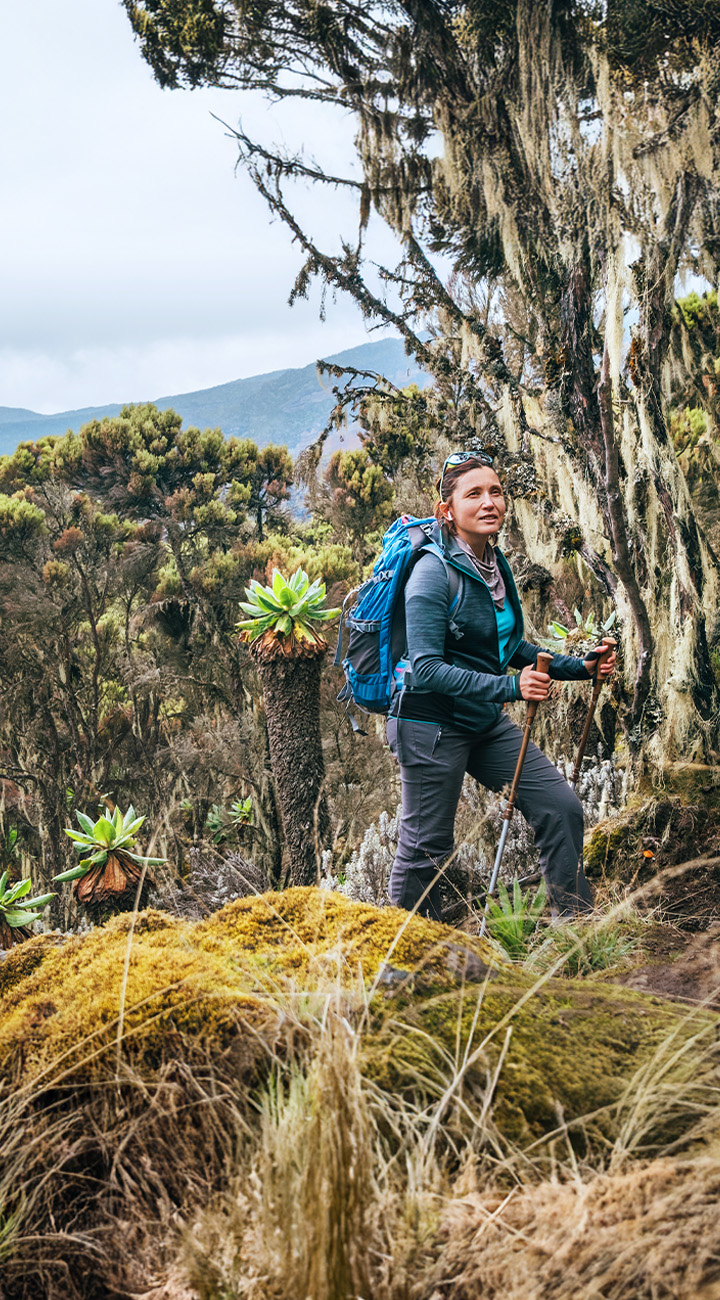 Machame Gate to Machame Camp
