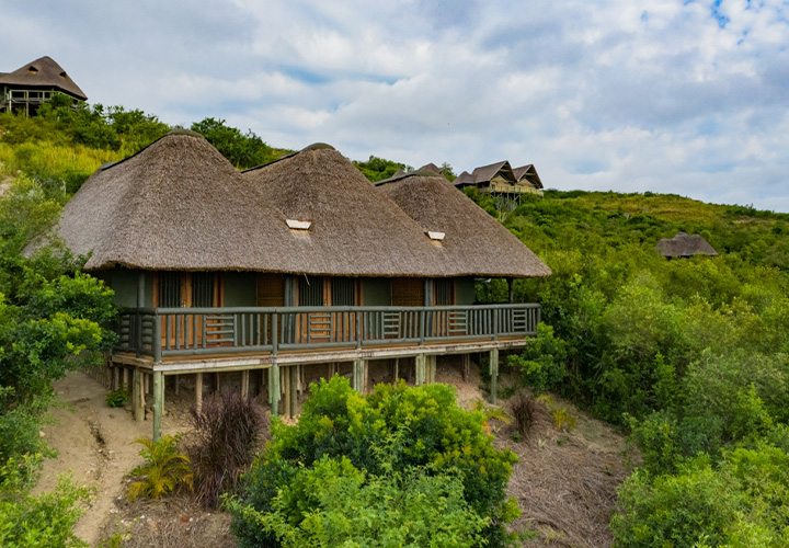 Kikorongo Lodge, QENP