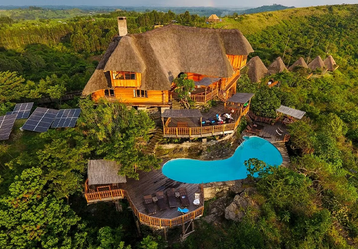 Turaco Tree Tops, Kibale