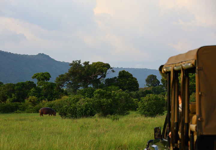 Game Drive – Ishasha