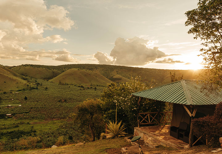 Game Drive – Mburo