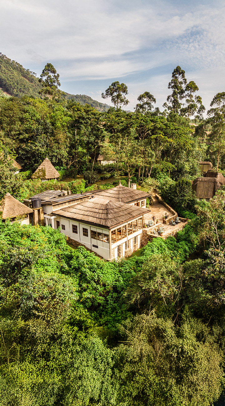 Long Roads, Big Views, Gorilla Dreams