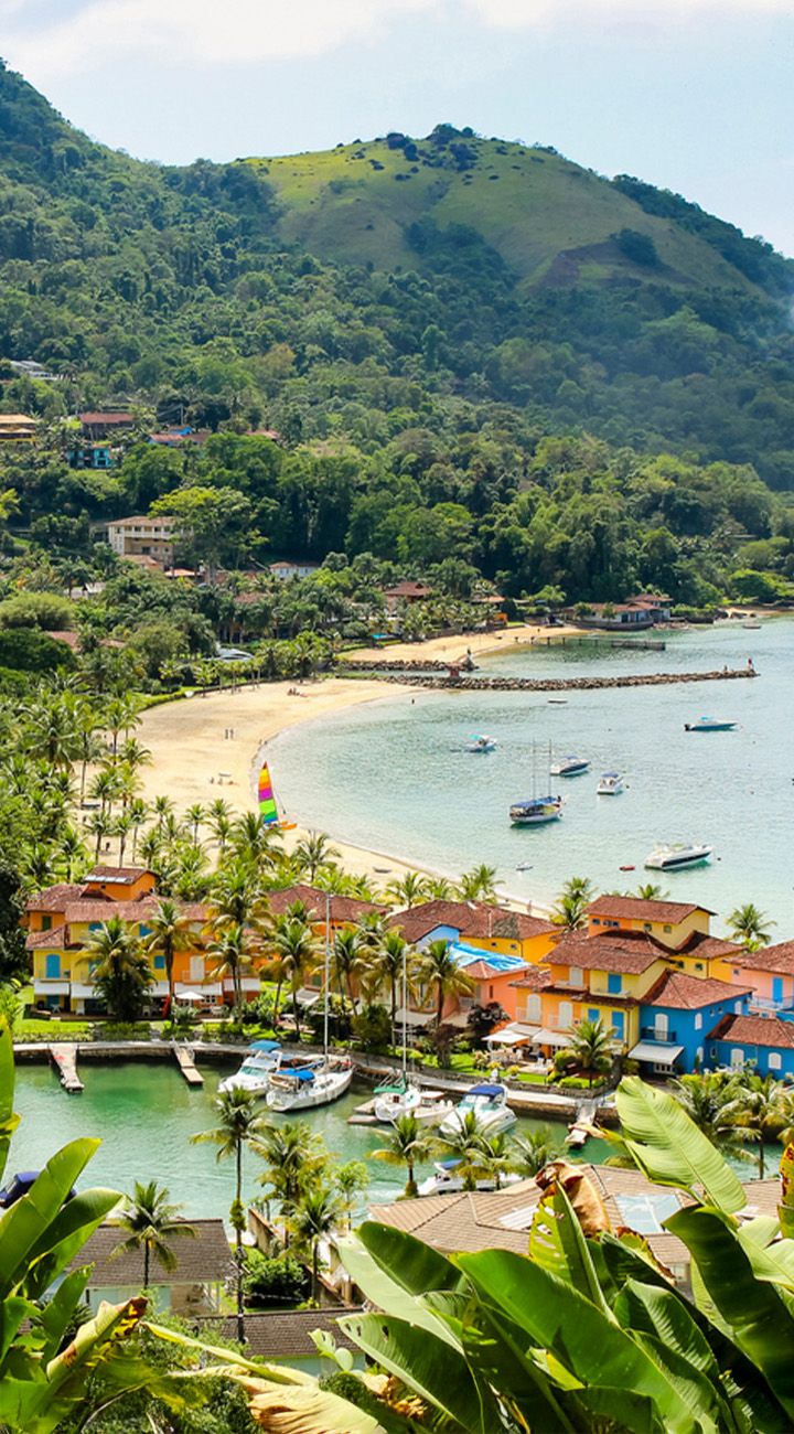 Into the Green – Ilha Grande