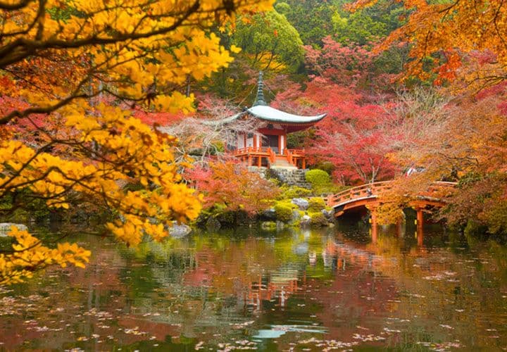 Kyoto Temple Circuit