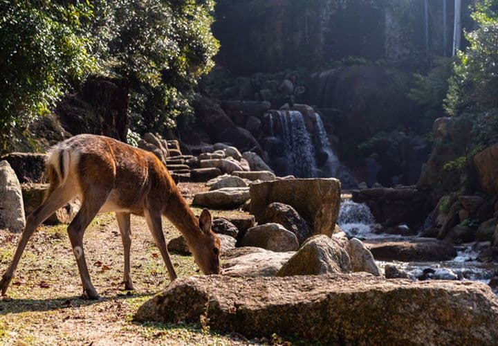 Hiroshima Reflection & Peace Park