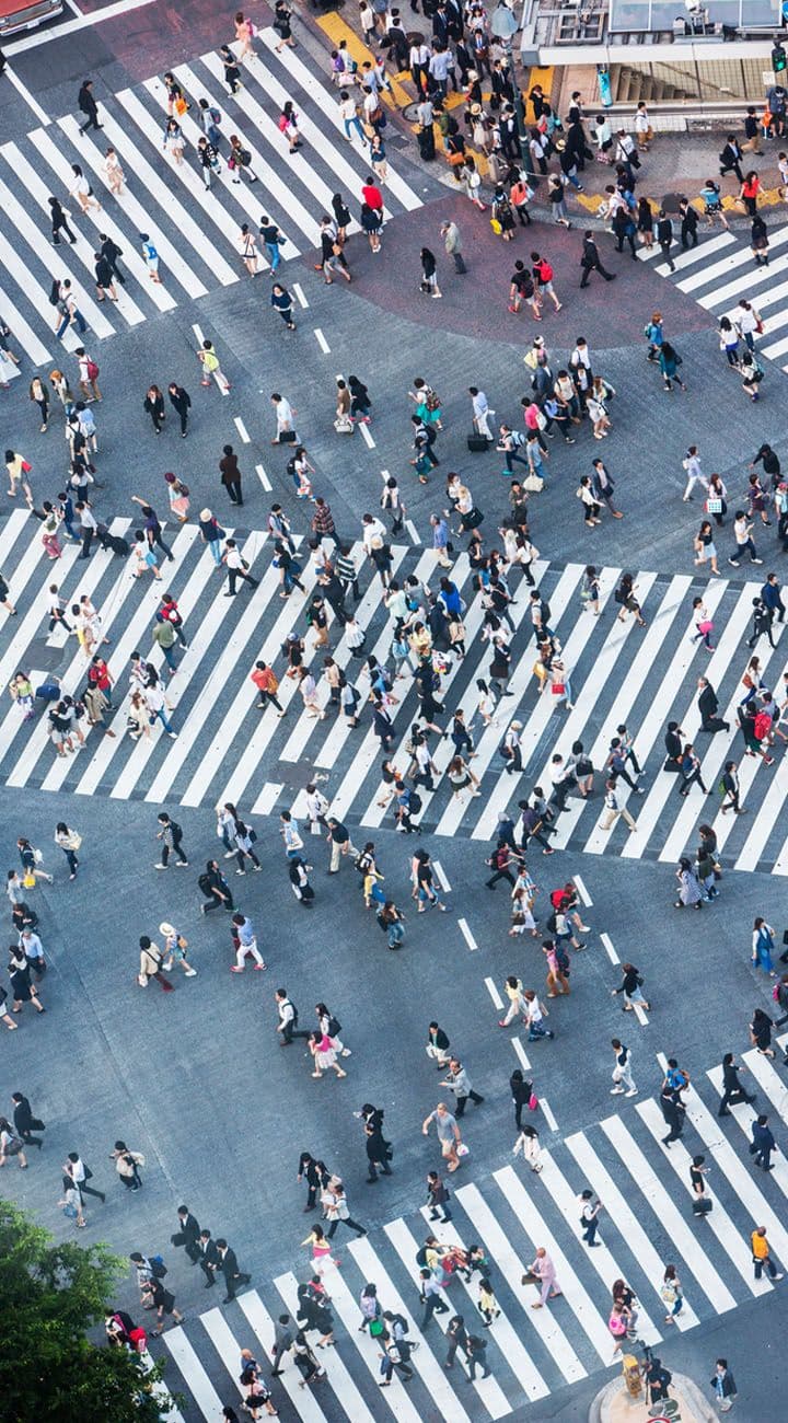 Harajuku, Meiji & Shibuya Lights