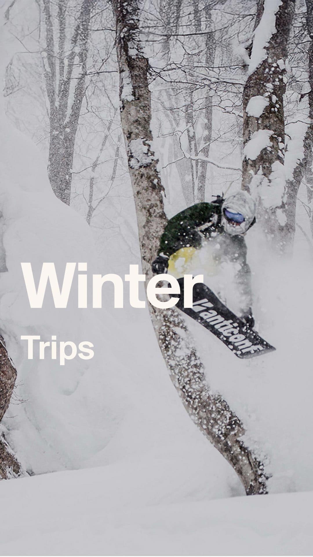 Winter Trips