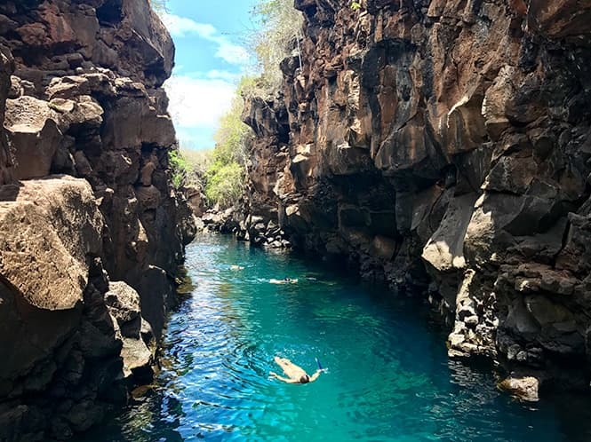 Bay Tour, Santa Cruz (Optional, Day 5)