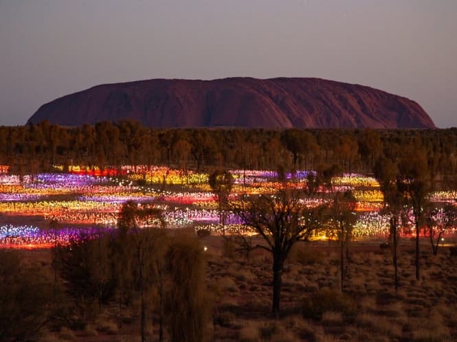 Field of light General admission