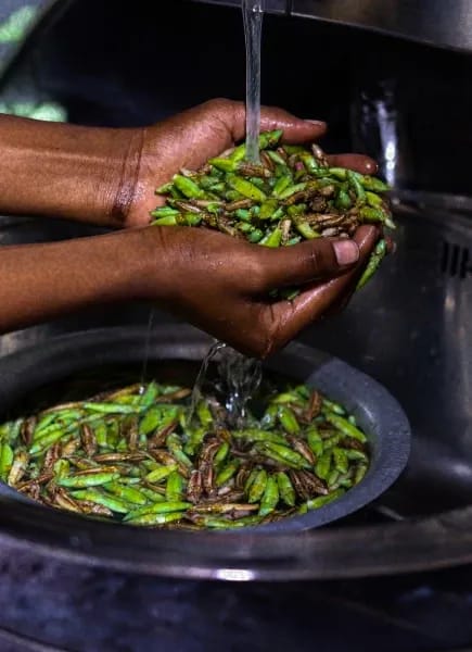 Culture touch point block