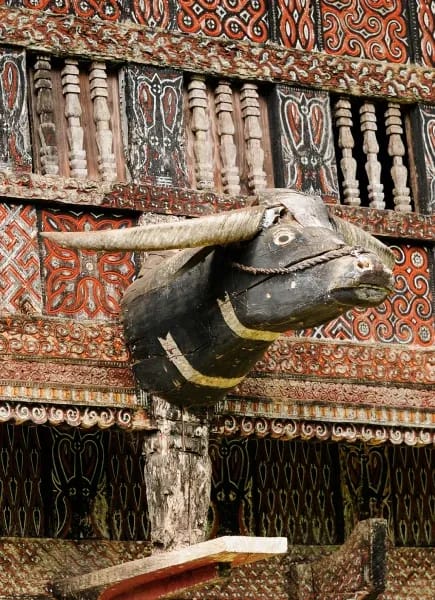 Culture touch point block