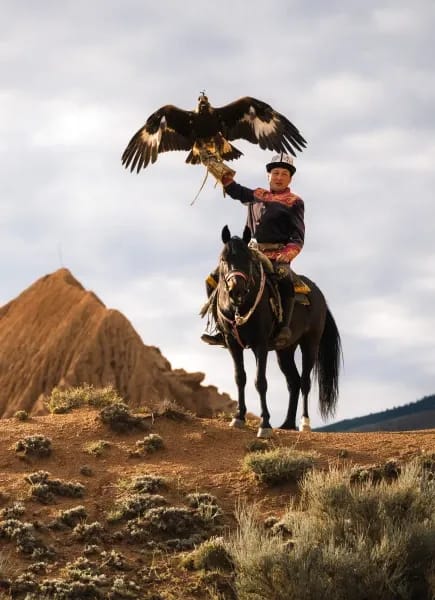 Culture touch point block