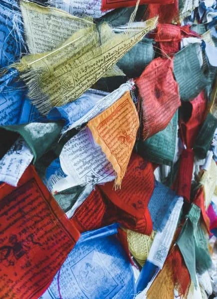 Culture touch point block