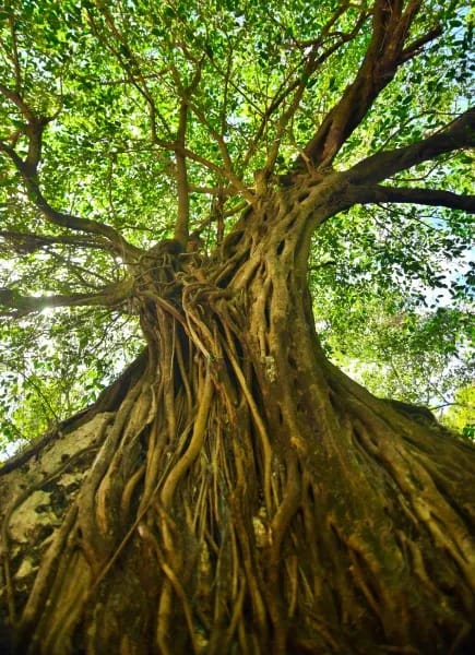 Culture touch point block