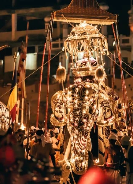 Culture touch point block