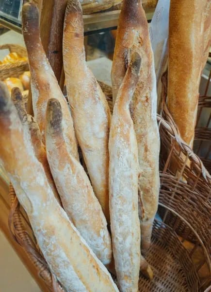 Culture touch point block