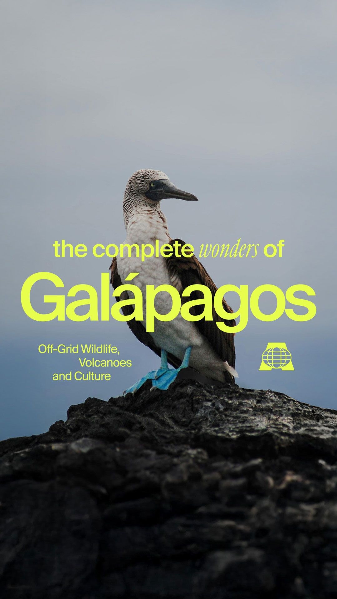 Off-Grid Galapagos: Lava, Legends & Living Evolution