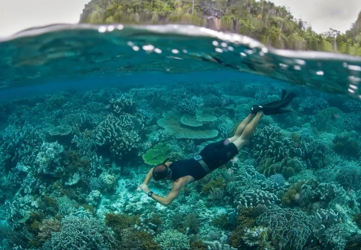 Mantas, Turtles & Village Life