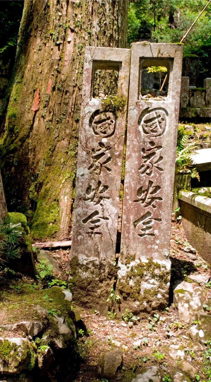 Into Mt. Koya
