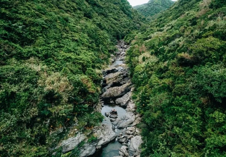 Full Day Jungle Trek