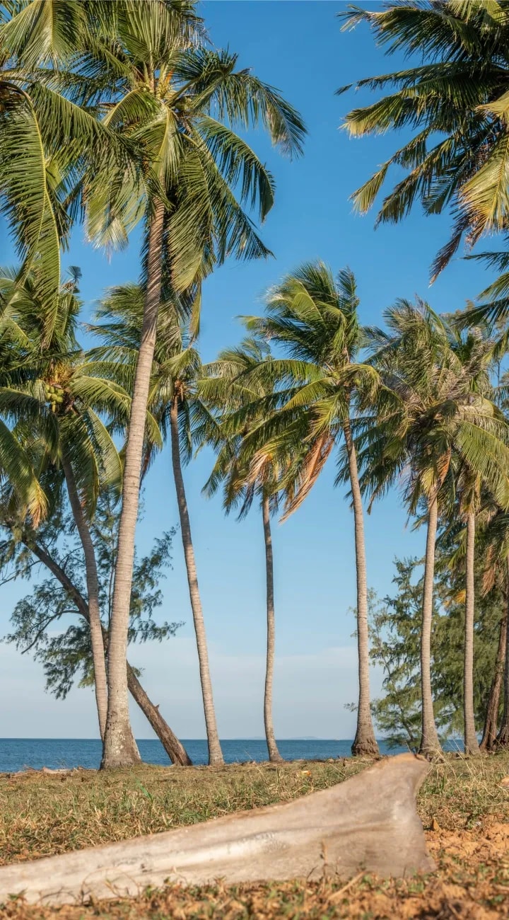 Explore Phu Quoc at your own pace.