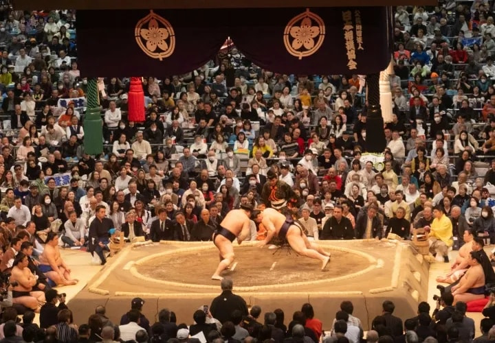 Yanaka, Nezu Shrine and Sumo Tournament