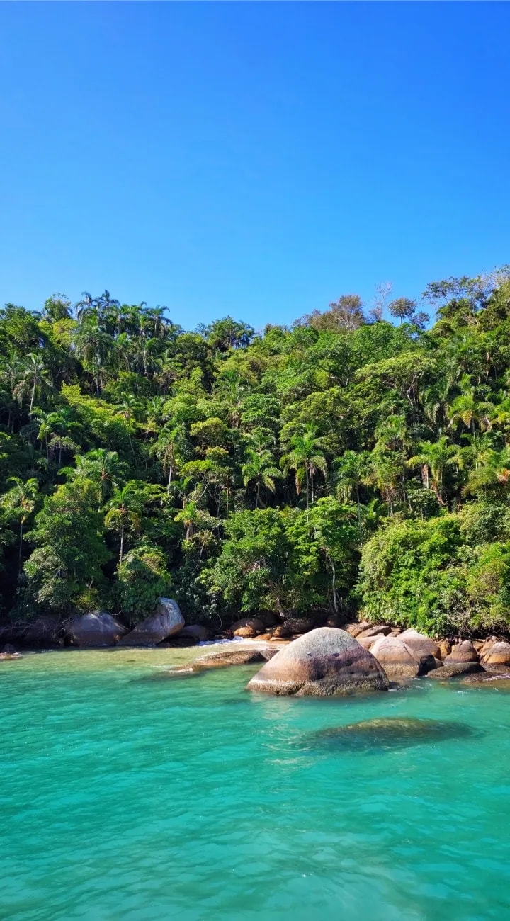 Transfer to Ilha Grande.