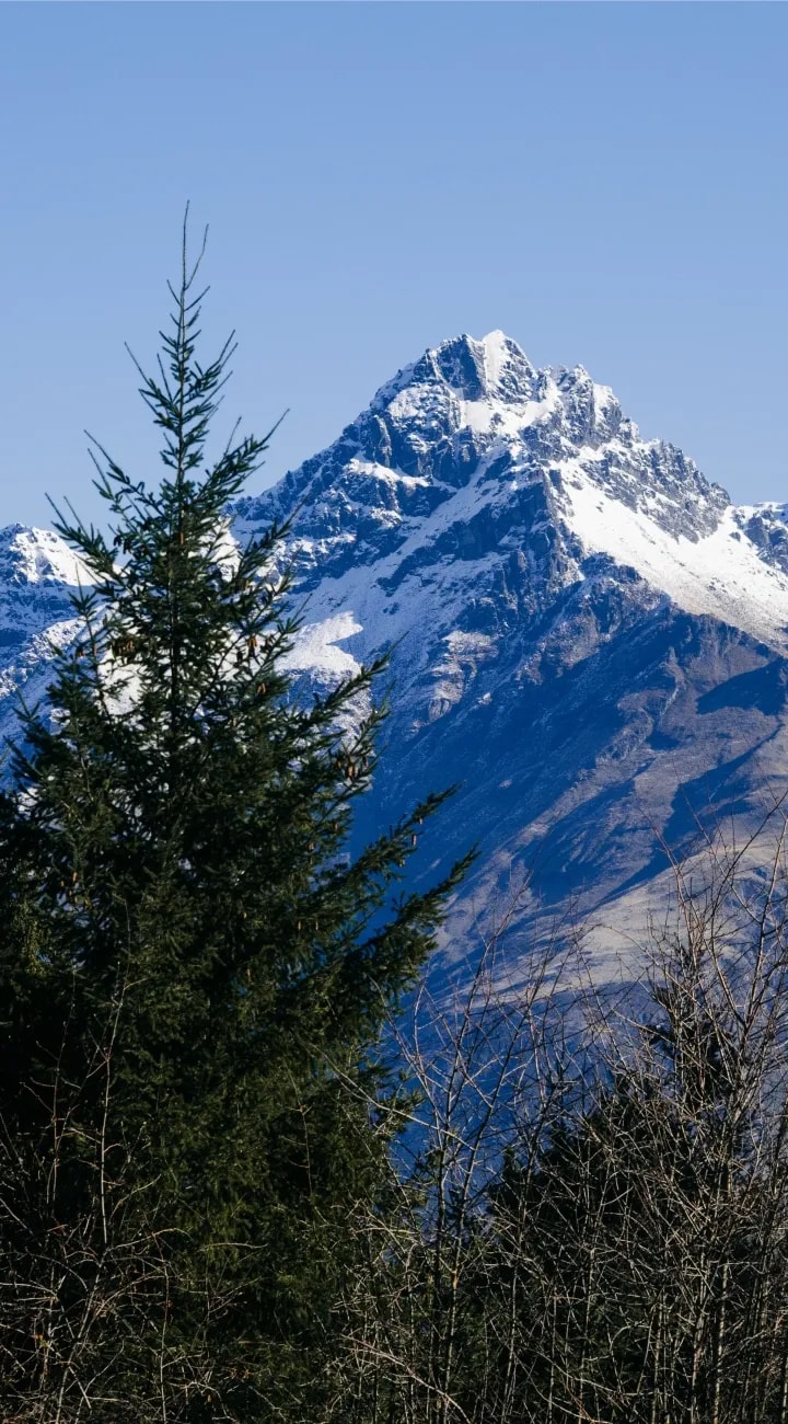 Arrive in Queenstown.