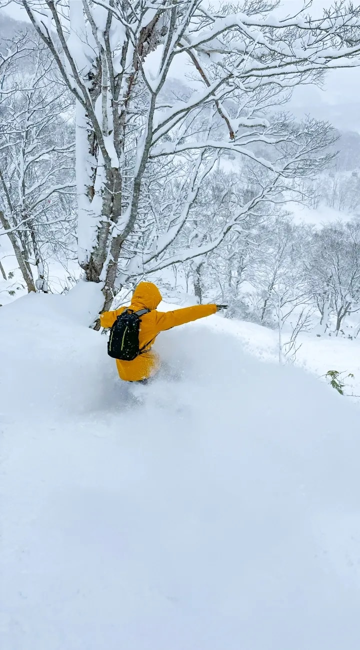 Powder Days Begin