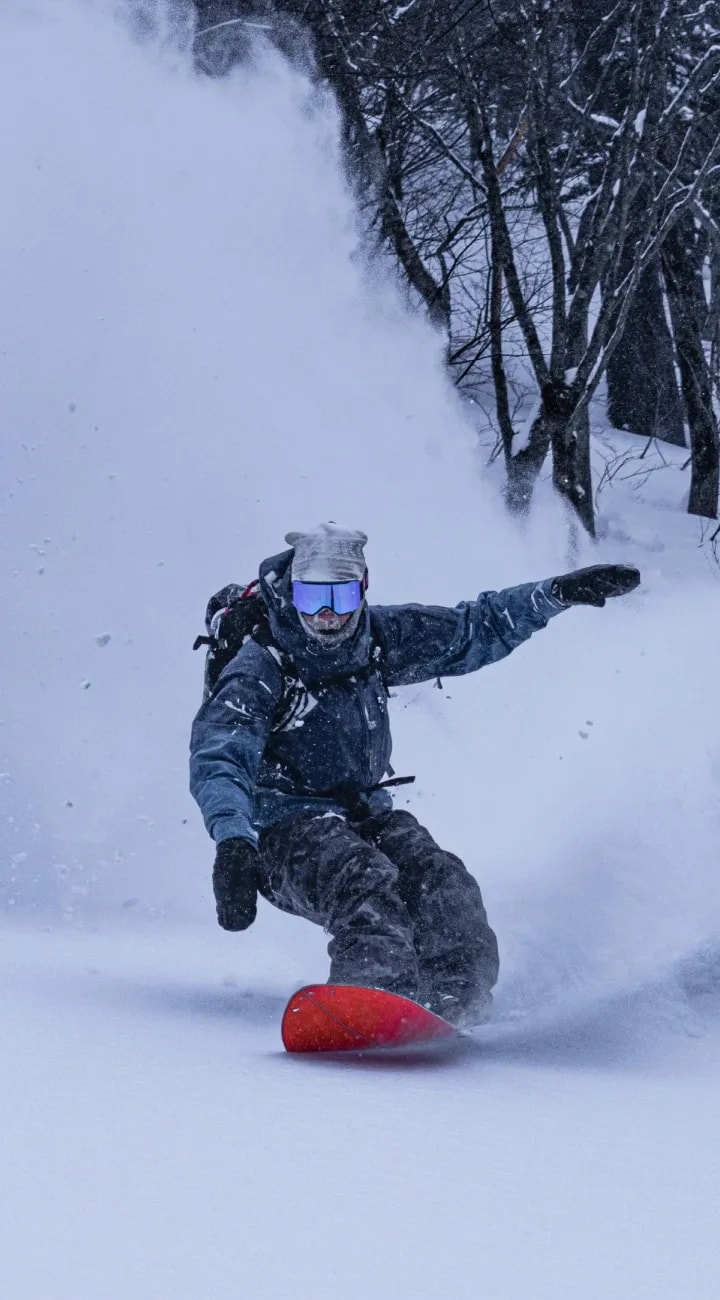 Last Turns of the Trip