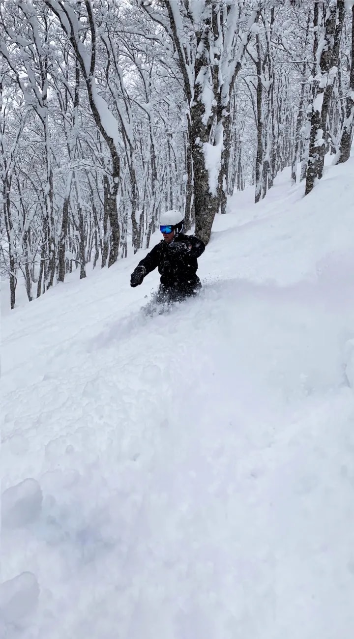 Last Turns of the Trip