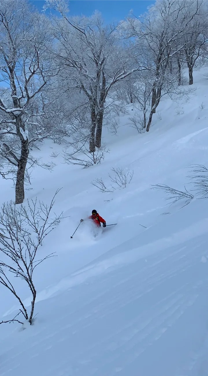 Chase the Best Snow